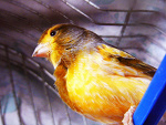 Fotoblog runaway098