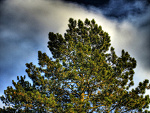 Fotoblog piotom7
