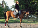 Celesta