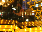 Fotoblog paulinana