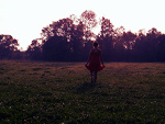 Fotoblog snownikita