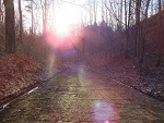 Fotoblog andziaiwiki