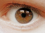 Fotoblog contradictingofme