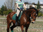 Fotoblog xdreamsfactoriesx
