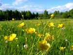 Fotoblog xmowmisloncex