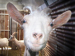 Fotoblog kacper11111