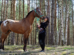 Fotoblog kochamkonie66