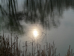Fotoblog kurosensei