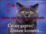 Fotoblog xowikixo