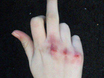 Fotoblog dansemacabrex