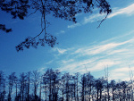 Fotoblog werphotoo11