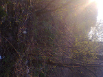 Fotoblog heheszkiszki