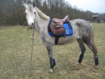 Fotoblog maxinecassanove