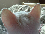 Fotoblog belby