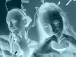 Fotoblog wk12
