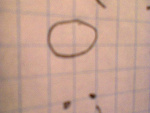 Fotoblog zelka1111