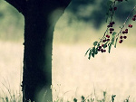 Fotoblog darujmi