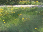 Fotoblog michaleekk