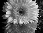Fotoblog rybkaa88