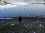 Fotoblog marine17