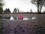 Fotoblog akaletem