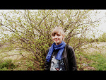 Fotoblog hekate6