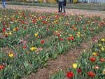 Fotoblog zuziapieczek
