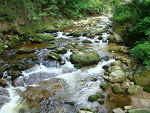 Fotoblog damfor