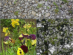 Fotoblog agnieszka264