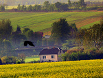 Fotoblog misiumisiaczek