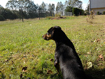 Fotoblog s4bina
