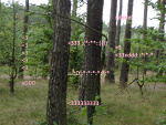 Fotoblog ragnvaldr
