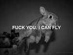 Fotoblog norr