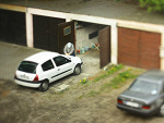 Wpis kwiatsniegu