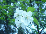 Fotoblog katehay