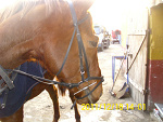 Fotoblog sakrusia