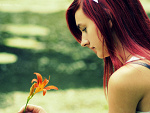 Fotoblog frambuesadecampo