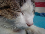 Fotoblog olinka102