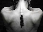 begin