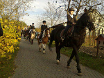 Fotoblog horsiik