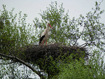 Fotoblog paulina265