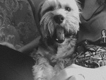 Fotoblog malaa0o