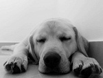 Fotoblog malikaa