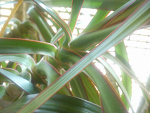 Fotoblog nichujaphoto