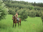 Fotoblog effciaa