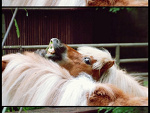 Fotoblog lolubuu