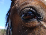 Fotoblog paulix2000