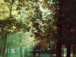 Fotoblog vensu