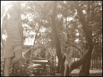 Fotoblog believerr
