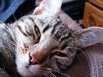 Fotoblog klesniewski